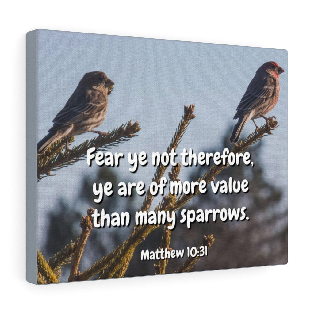 Scripture Walls More Value Matthew 10:31 Bible Verse Canvas Christian Wall Art Ready to Hang Unframed-Express Your Love Gifts