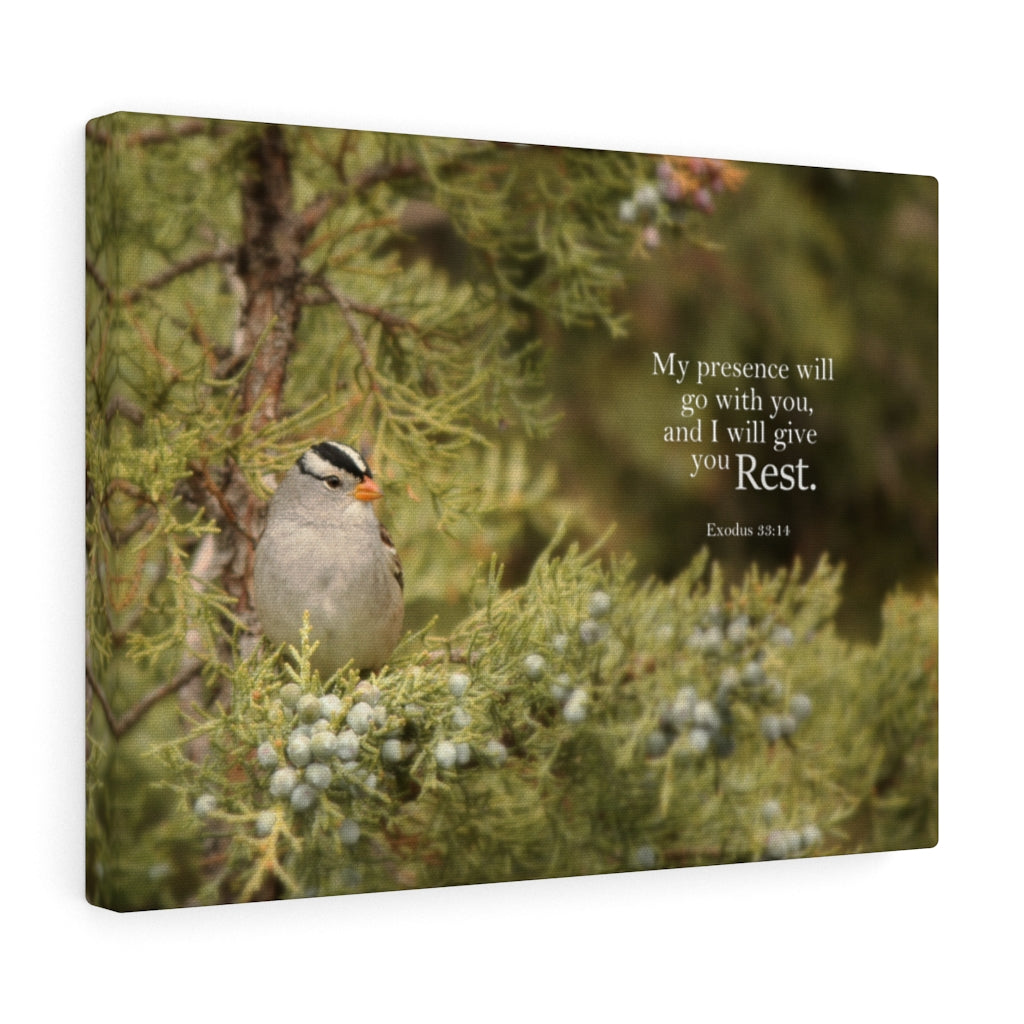 Scripture Walls My Presence Exodus 53:14 Bible Verse Canvas Christian Wall Art Ready to Hang Unframed-Express Your Love Gifts