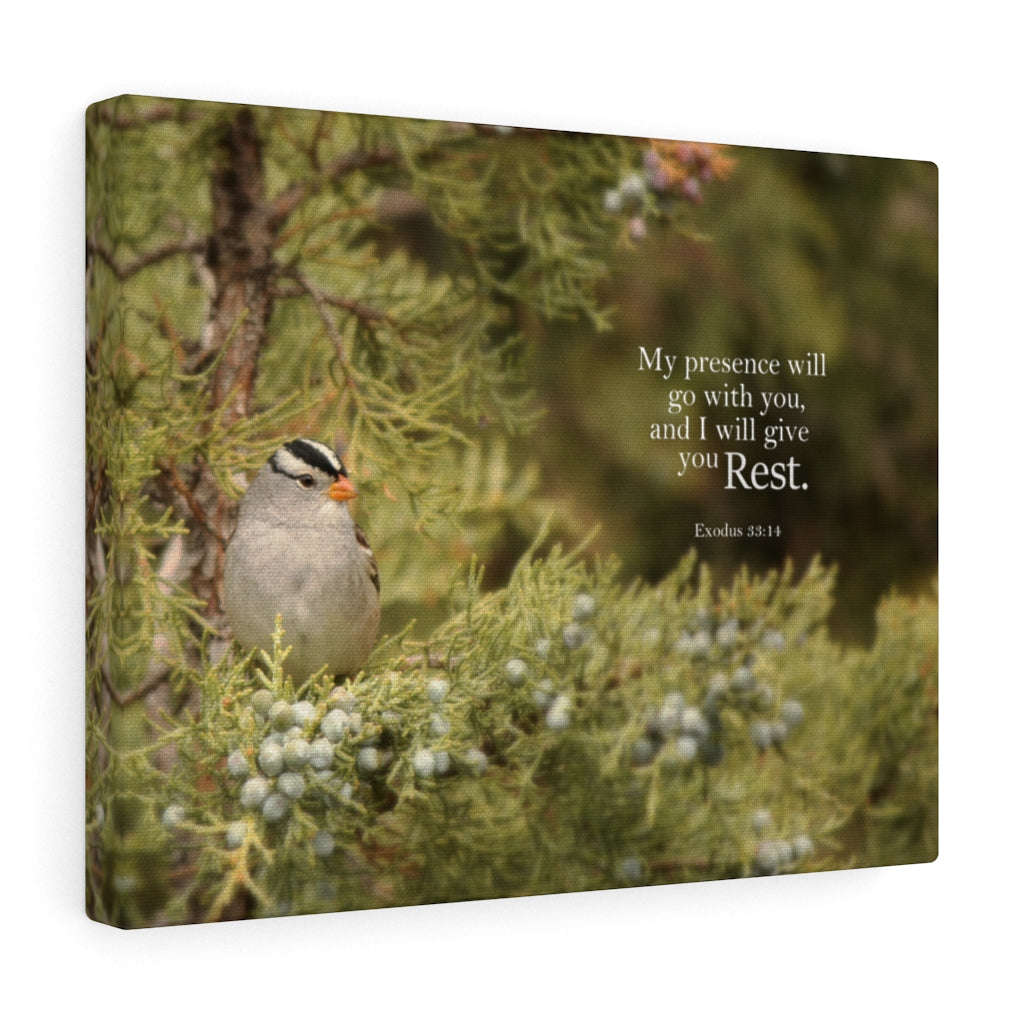 Scripture Walls My Presence Exodus 53:14 Bible Verse Canvas Christian Wall Art Ready to Hang Unframed-Express Your Love Gifts