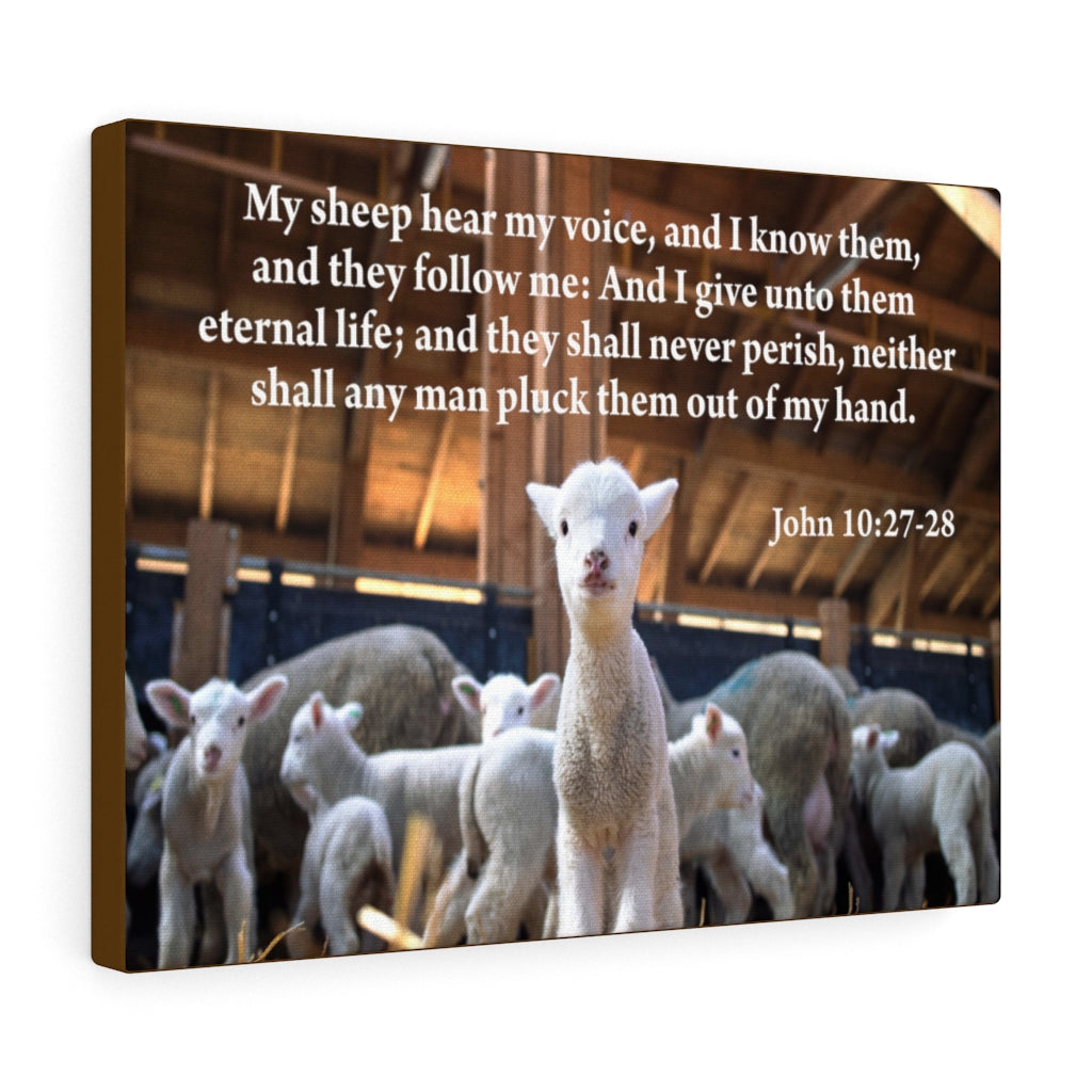 Scripture Walls My Sheep Hear My Voice John 10:27-28 Bible Verse Canvas Christian Wall Art Ready to Hang Unframed-Express Your Love Gifts