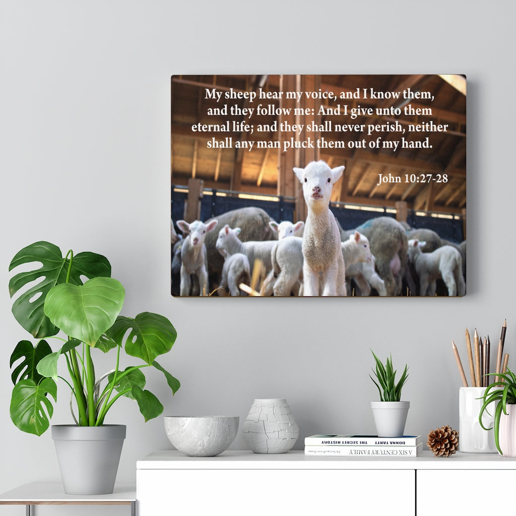 Scripture Walls My Sheep Hear My Voice John 10:27-28 Bible Verse Canvas Christian Wall Art Ready to Hang Unframed-Express Your Love Gifts