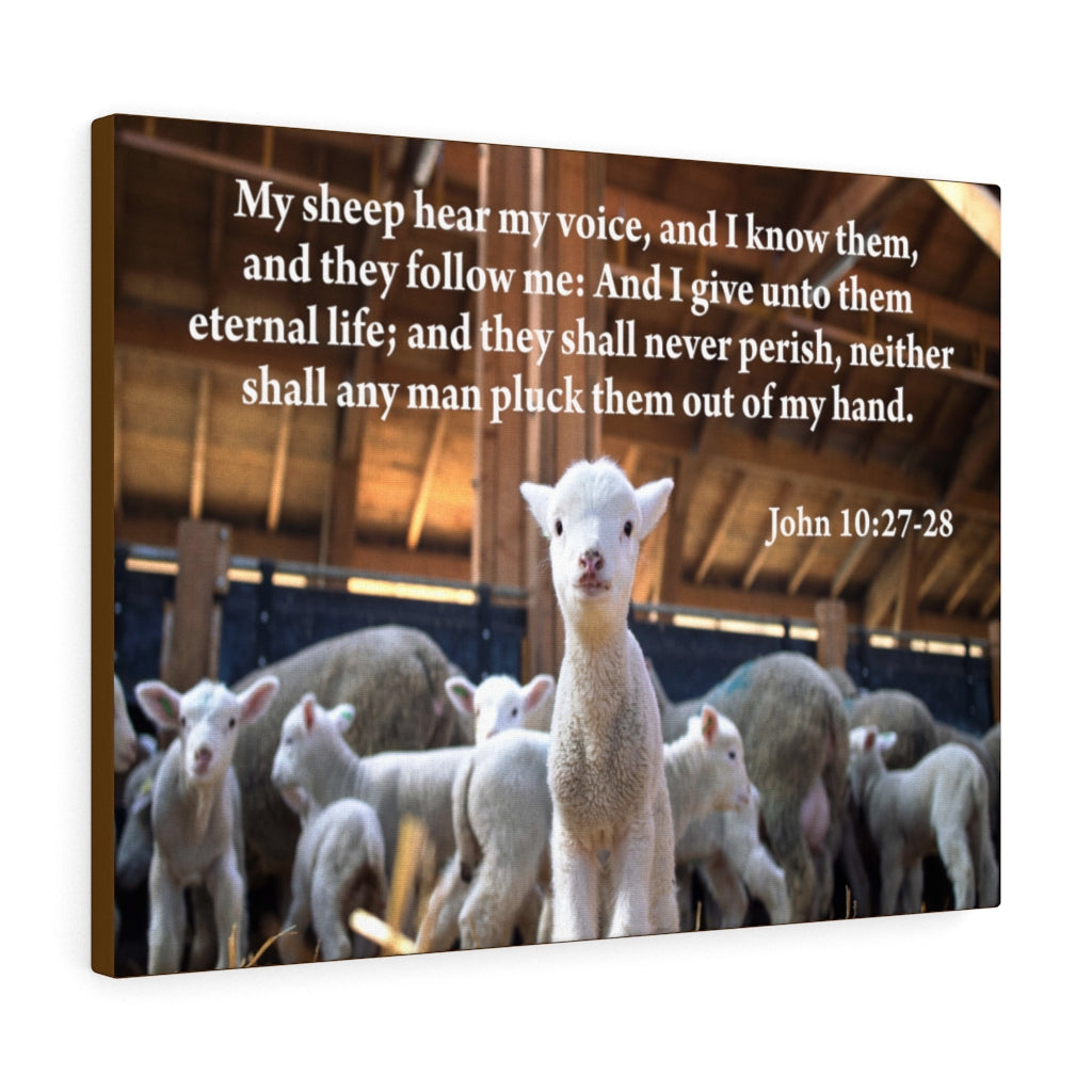 Scripture Walls My Sheep Hear My Voice John 10:27-28 Bible Verse Canvas Christian Wall Art Ready to Hang Unframed-Express Your Love Gifts