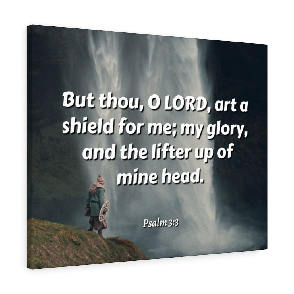 Scripture Walls My Shield Psalm 3:3 Bible Verse Canvas Christian Wall Art Ready to Hang Unframed-Express Your Love Gifts