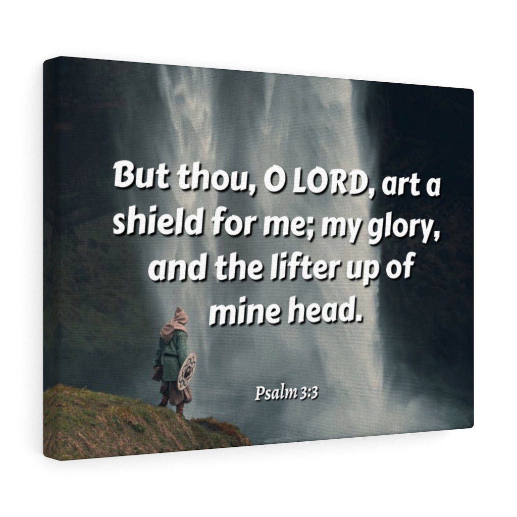 Scripture Walls My Shield Psalm 3:3 Bible Verse Canvas Christian Wall Art Ready to Hang Unframed-Express Your Love Gifts