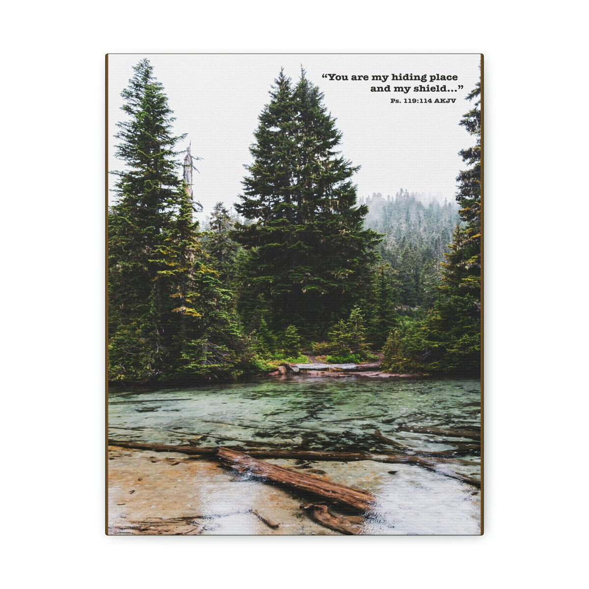 Scripture Walls My Shield Psalms 119:114 Bible Verse Canvas Christian Wall Art Ready to Hang Unframed-Express Your Love Gifts