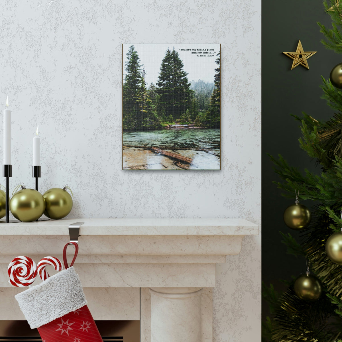 Scripture Walls My Shield Psalms 119:114 Bible Verse Canvas Christian Wall Art Ready to Hang Unframed-Express Your Love Gifts