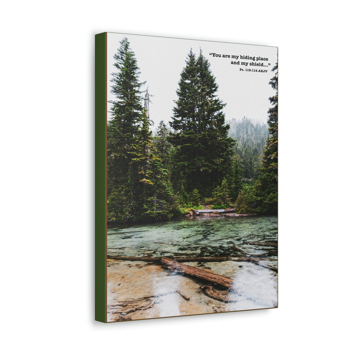 Scripture Walls My Shield Psalms 119:114 Bible Verse Canvas Christian Wall Art Ready to Hang Unframed-Express Your Love Gifts