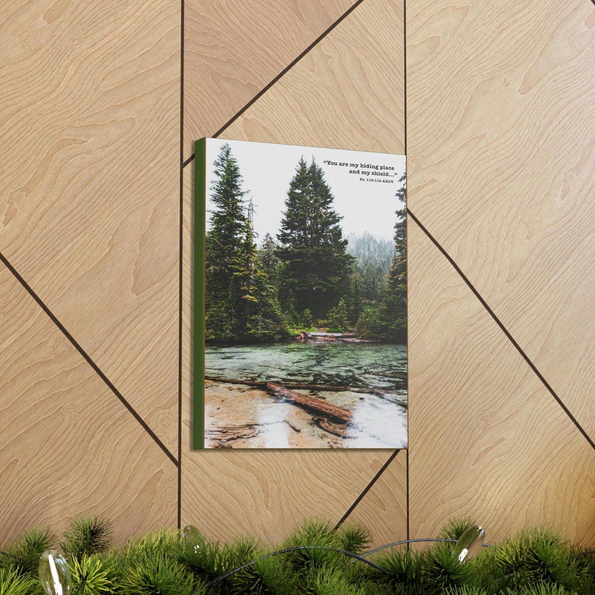 Scripture Walls My Shield Psalms 119:114 Bible Verse Canvas Christian Wall Art Ready to Hang Unframed-Express Your Love Gifts