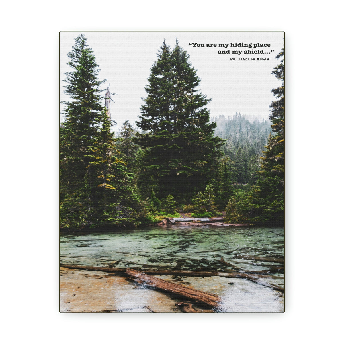 Scripture Walls My Shield Psalms 119:114 Bible Verse Canvas Christian Wall Art Ready to Hang Unframed-Express Your Love Gifts