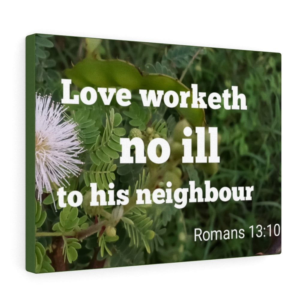 Scripture Walls Neighbor Romans 13:10 Bible Verse Canvas Christian Wall Art Ready to Hang Unframed-Express Your Love Gifts