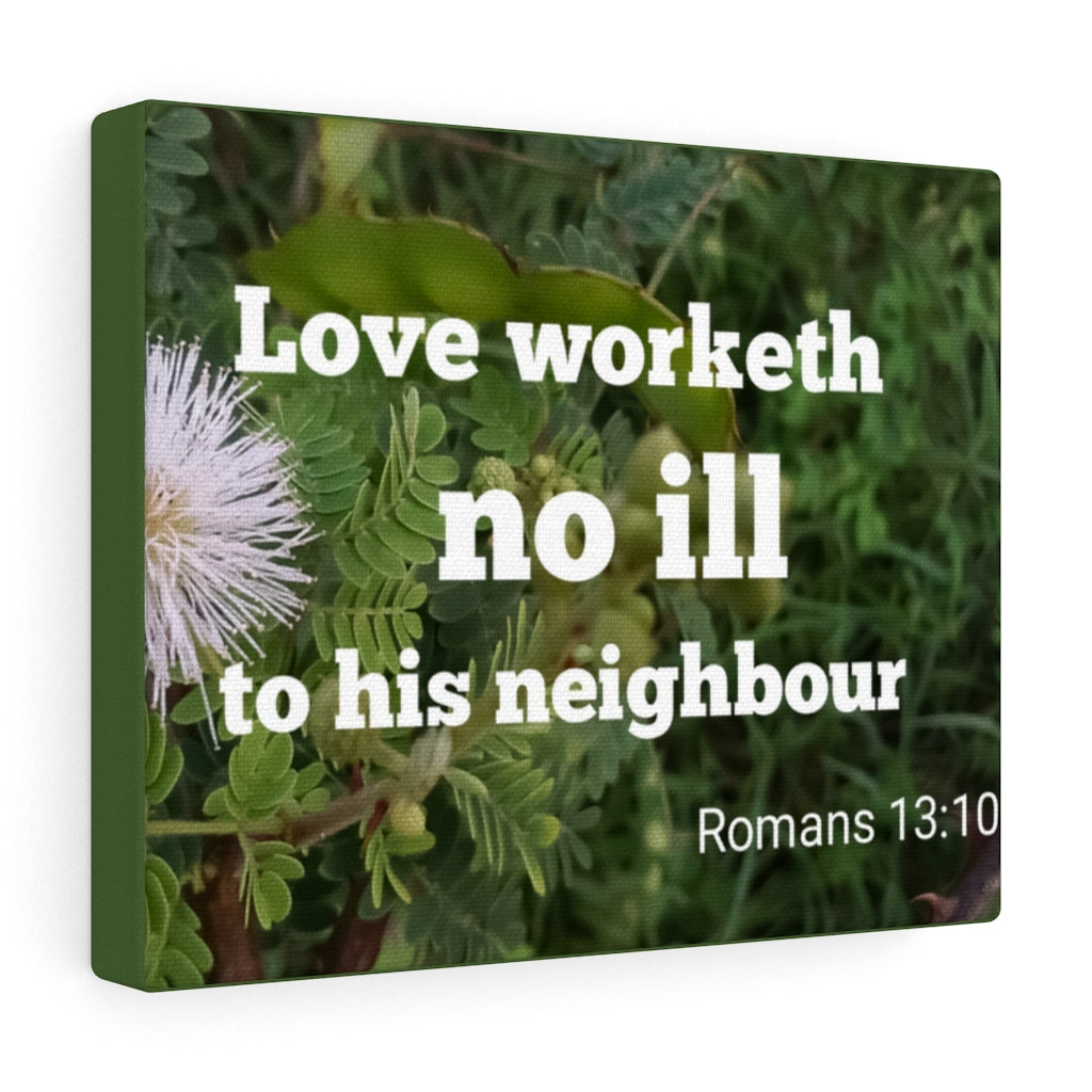 Scripture Walls Neighbor Romans 13:10 Bible Verse Canvas Christian Wall Art Ready to Hang Unframed-Express Your Love Gifts