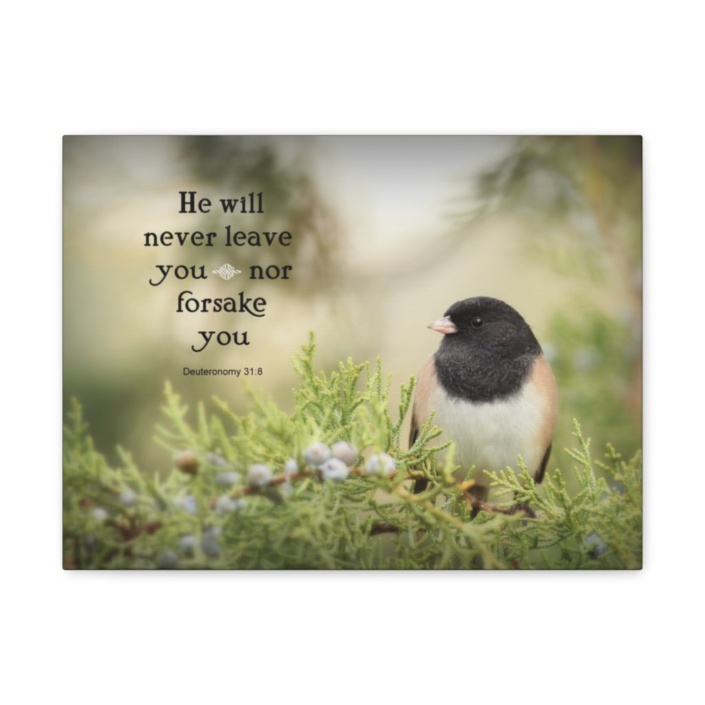Scripture Walls Never Forsake Deuteronomy 31:8 Bible Verse Canvas Christian Wall Art Ready to Hang Unframed-Express Your Love Gifts