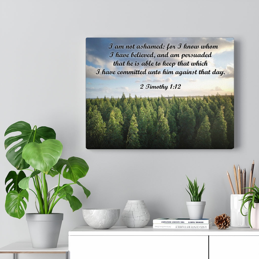 Scripture Walls Not Ashamed 2 Timothy 1:12 Bible Verse Canvas Christian Wall Art Ready to Hang Unframed-Express Your Love Gifts