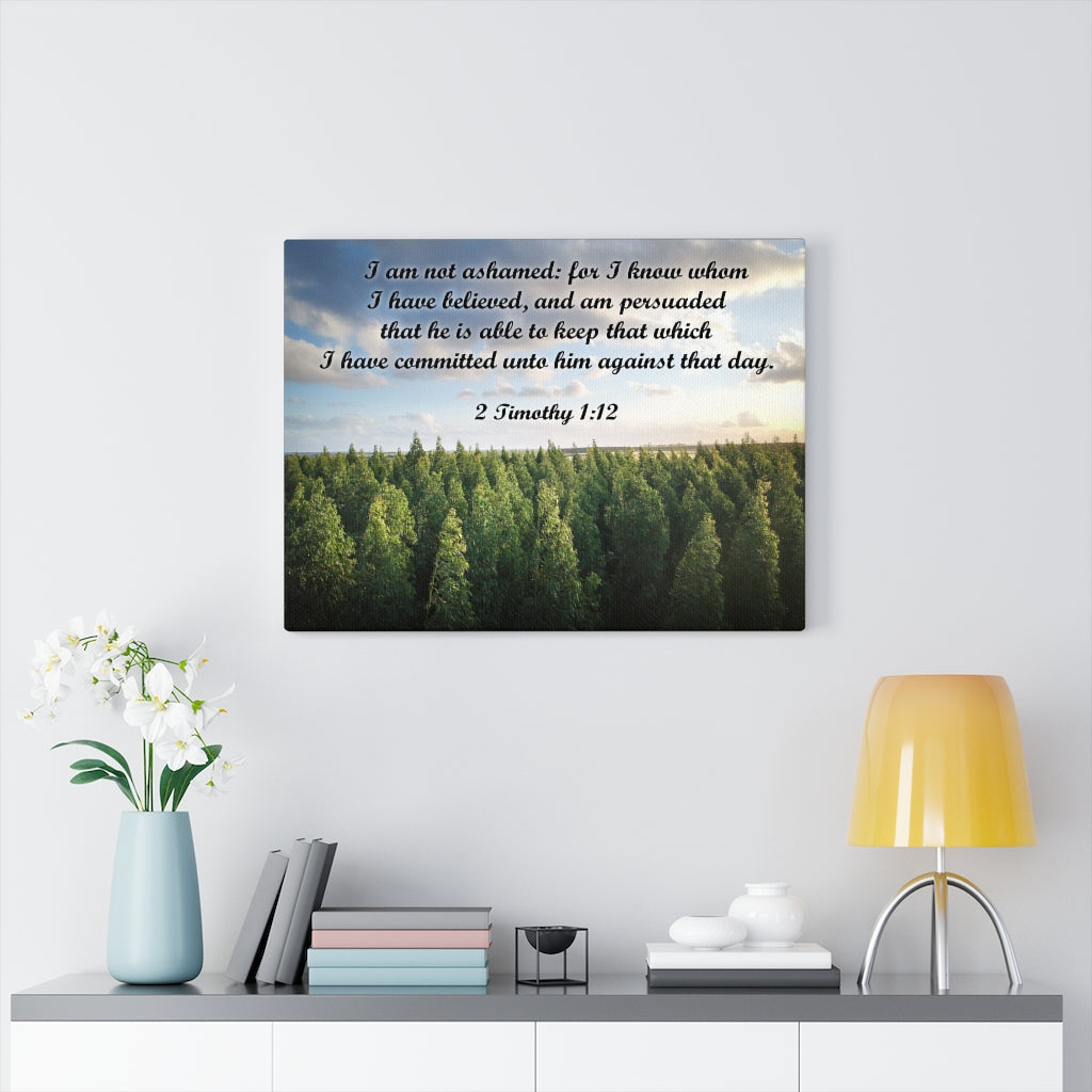 Scripture Walls Not Ashamed 2 Timothy 1:12 Bible Verse Canvas Christian Wall Art Ready to Hang Unframed-Express Your Love Gifts