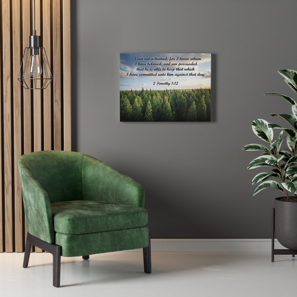 Scripture Walls Not Ashamed 2 Timothy 1:12 Bible Verse Canvas Christian Wall Art Ready to Hang Unframed-Express Your Love Gifts