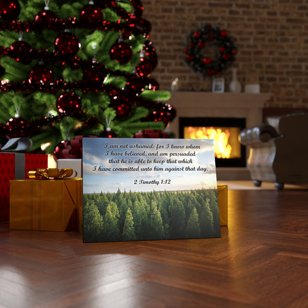 Scripture Walls Not Ashamed 2 Timothy 1:12 Bible Verse Canvas Christian Wall Art Ready to Hang Unframed-Express Your Love Gifts