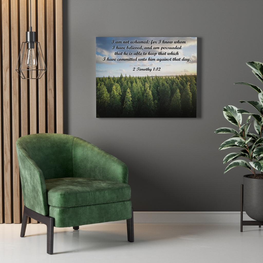 Scripture Walls Not Ashamed 2 Timothy 1:12 Bible Verse Canvas Christian Wall Art Ready to Hang Unframed-Express Your Love Gifts