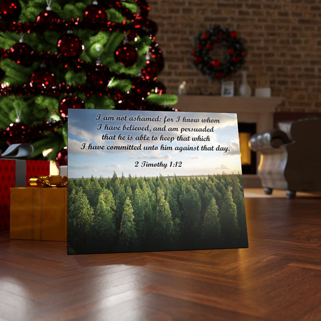 Scripture Walls Not Ashamed 2 Timothy 1:12 Bible Verse Canvas Christian Wall Art Ready to Hang Unframed-Express Your Love Gifts