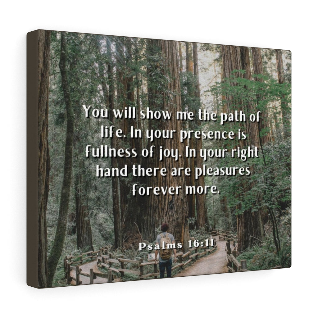 Scripture Walls Path Of Life Psalms 16:11 Bible Verse Canvas Christian Wall Art Ready to Hang Unframed-Express Your Love Gifts