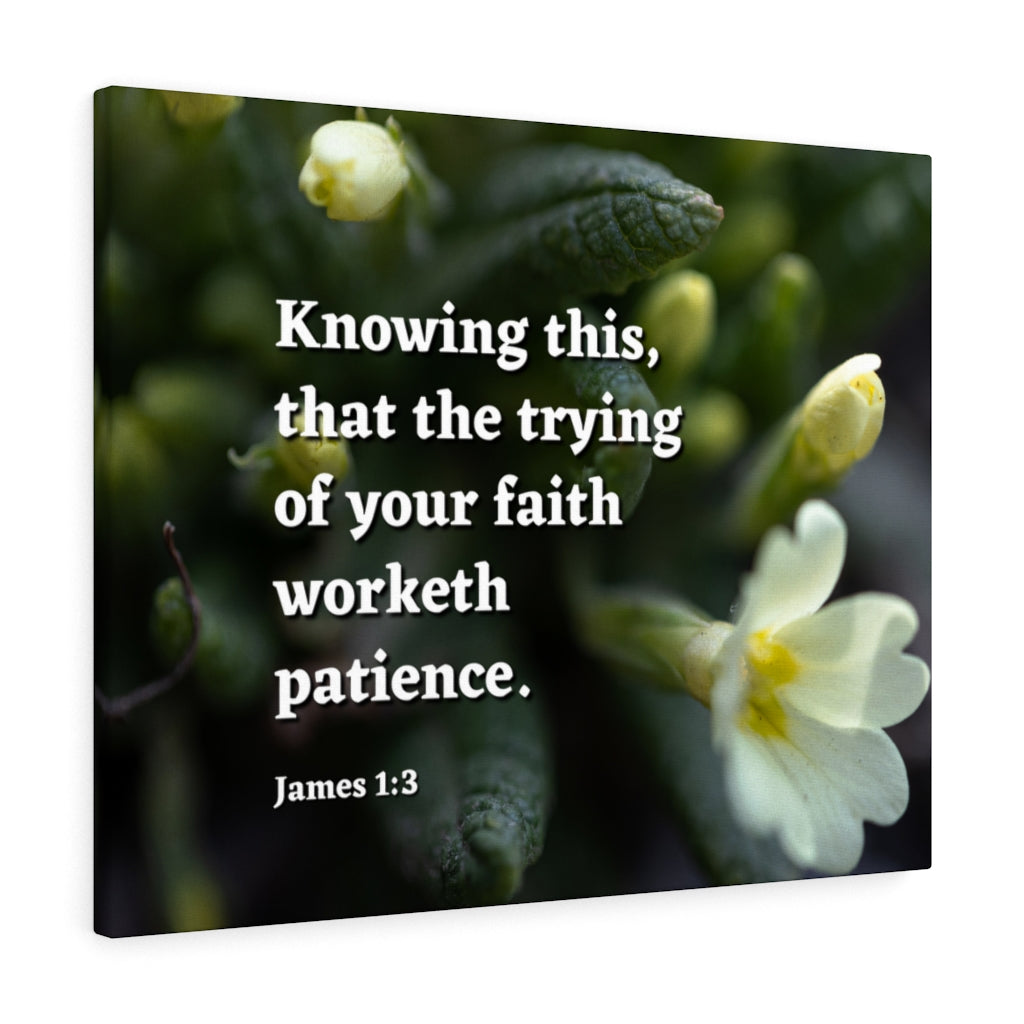 Scripture Walls Patience James 1:3 Bible Verse Canvas Christian Wall Art Ready to Hang Unframed-Express Your Love Gifts