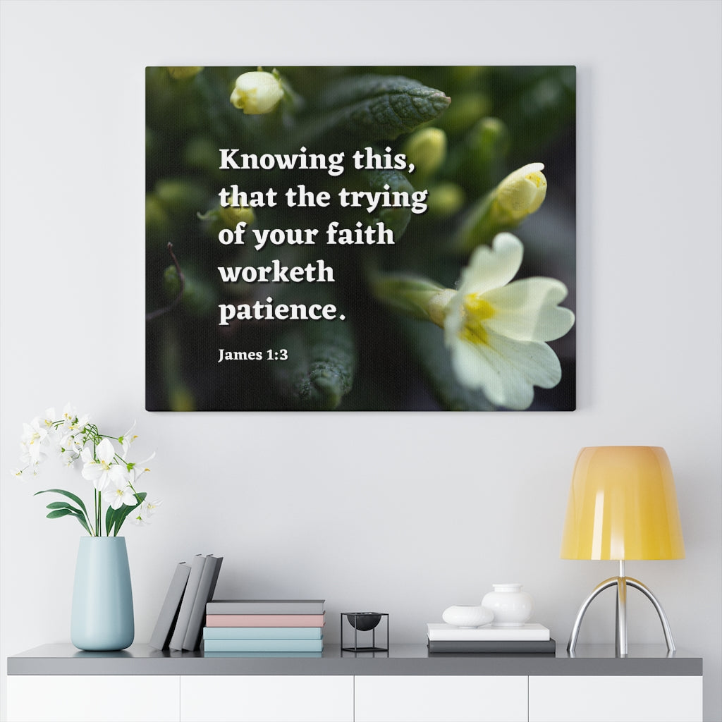 Scripture Walls Patience James 1:3 Bible Verse Canvas Christian Wall Art Ready to Hang Unframed-Express Your Love Gifts