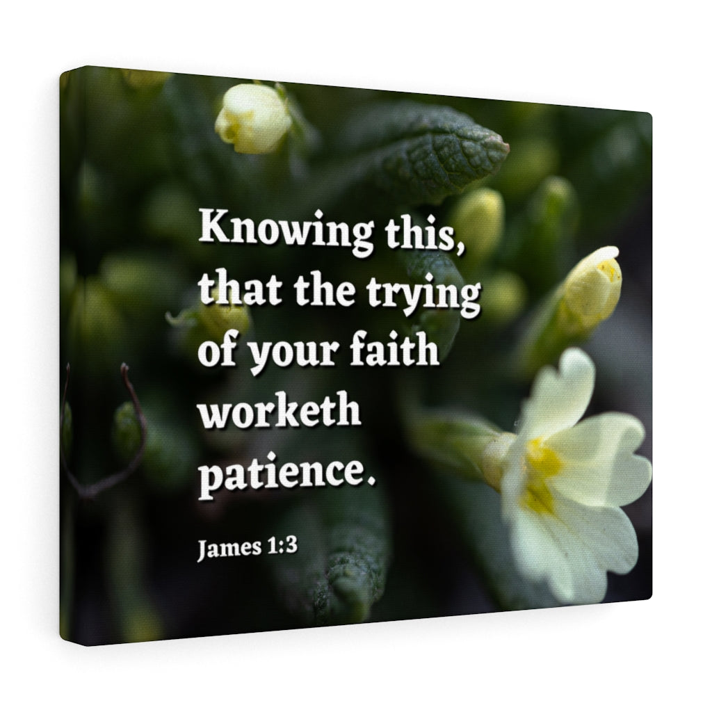 Scripture Walls Patience James 1:3 Bible Verse Canvas Christian Wall Art Ready to Hang Unframed-Express Your Love Gifts