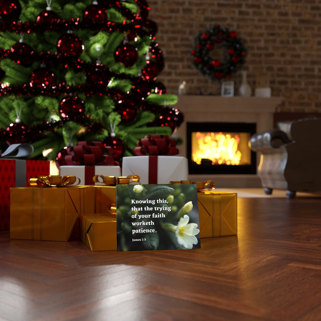 Scripture Walls Patience James 1:3 Bible Verse Canvas Christian Wall Art Ready to Hang Unframed-Express Your Love Gifts