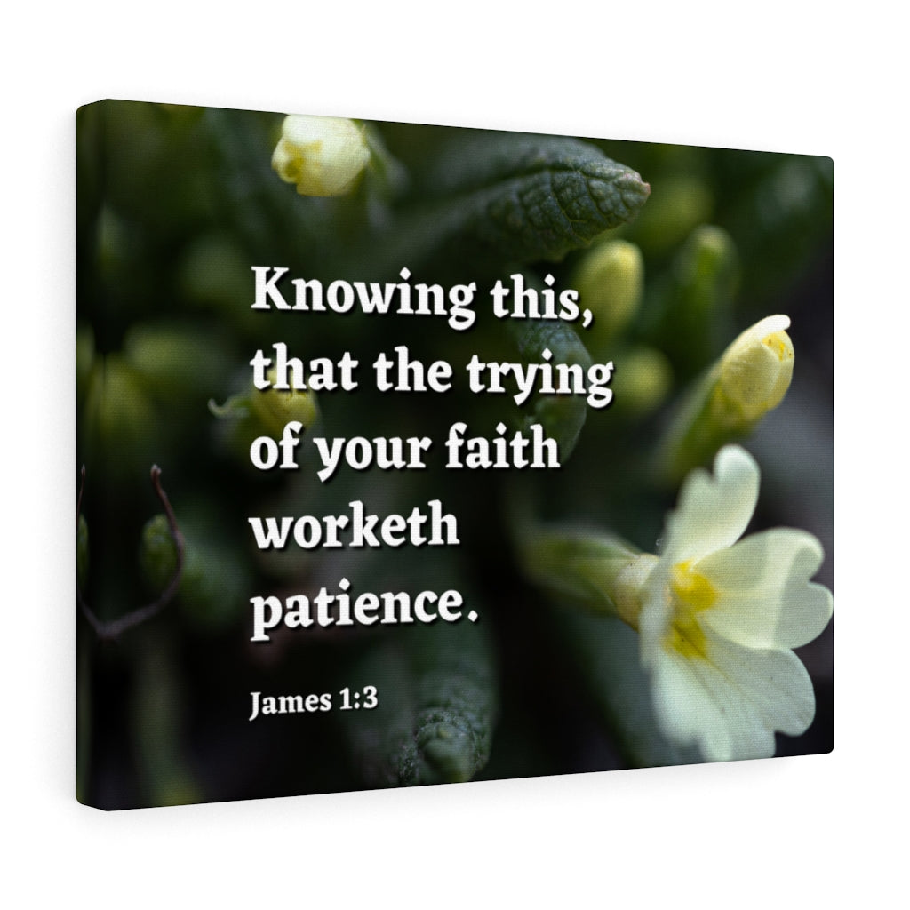 Scripture Walls Patience James 1:3 Bible Verse Canvas Christian Wall Art Ready to Hang Unframed-Express Your Love Gifts