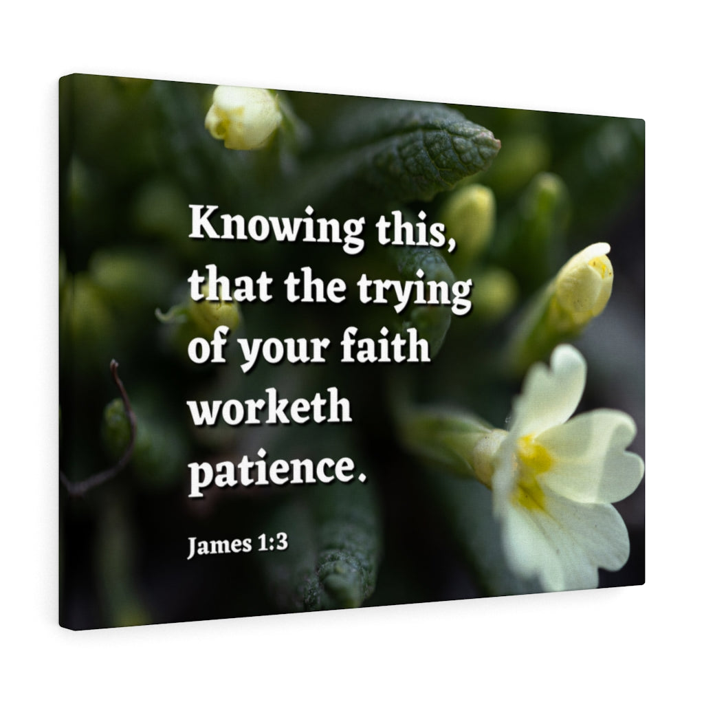 Scripture Walls Patience James 1:3 Bible Verse Canvas Christian Wall Art Ready to Hang Unframed-Express Your Love Gifts