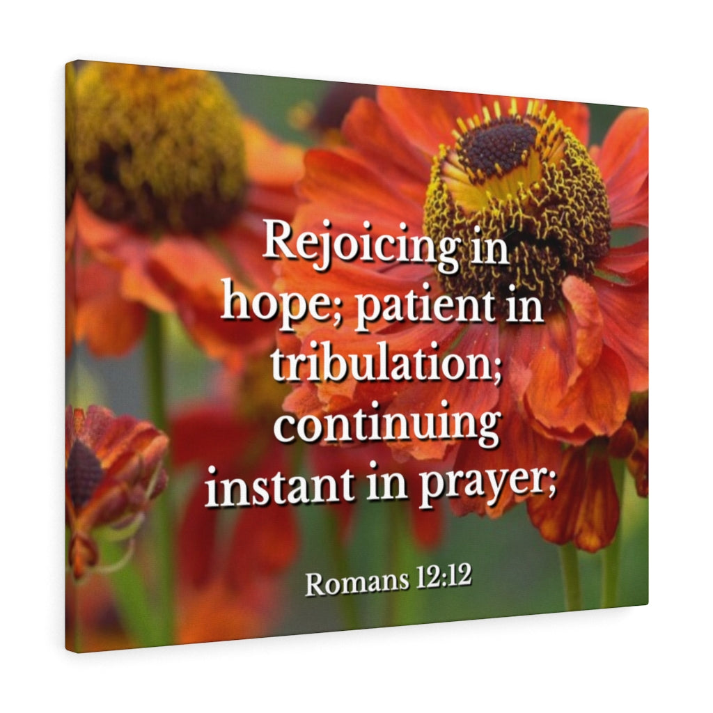 Scripture Walls Patient In Tribulation Romans 12:12 Bible Verse Canvas Christian Wall Art Ready to Hang Unframed-Express Your Love Gifts