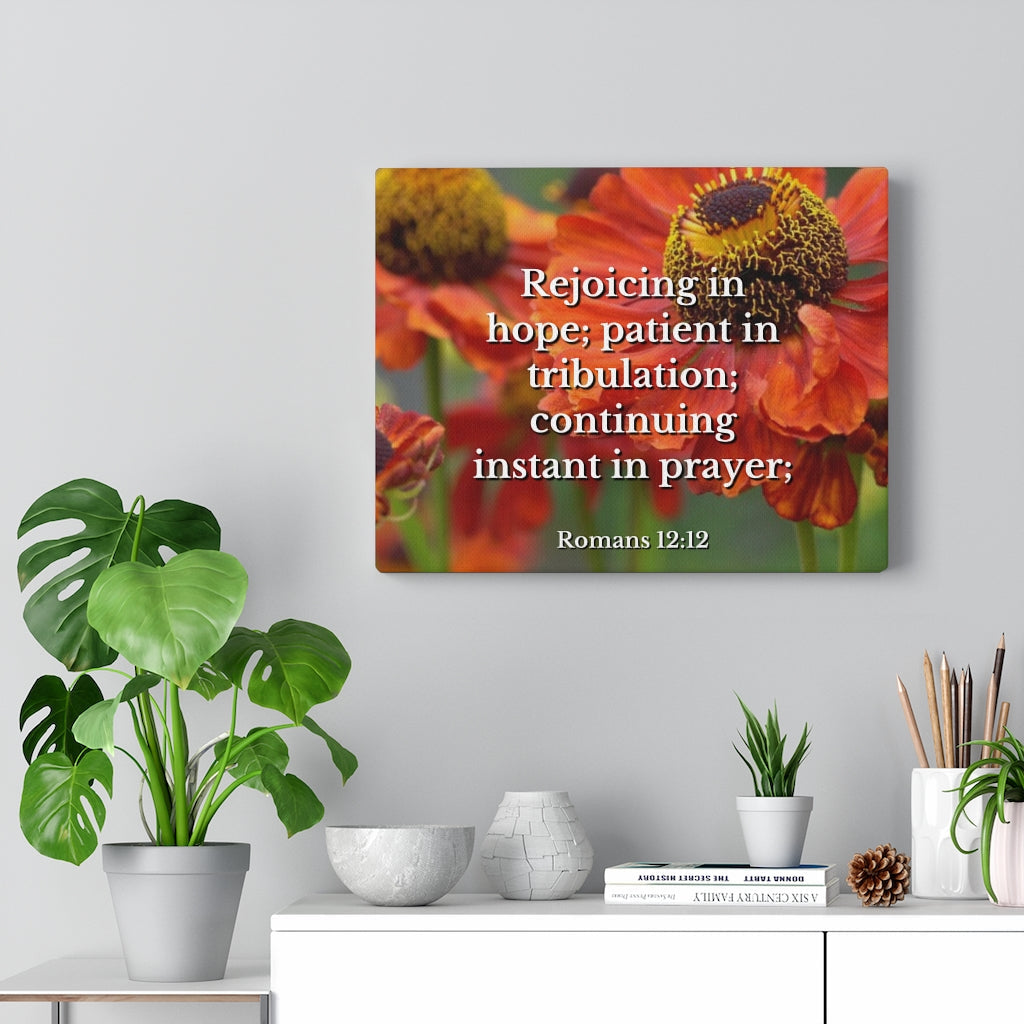 Scripture Walls Patient In Tribulation Romans 12:12 Bible Verse Canvas Christian Wall Art Ready to Hang Unframed-Express Your Love Gifts
