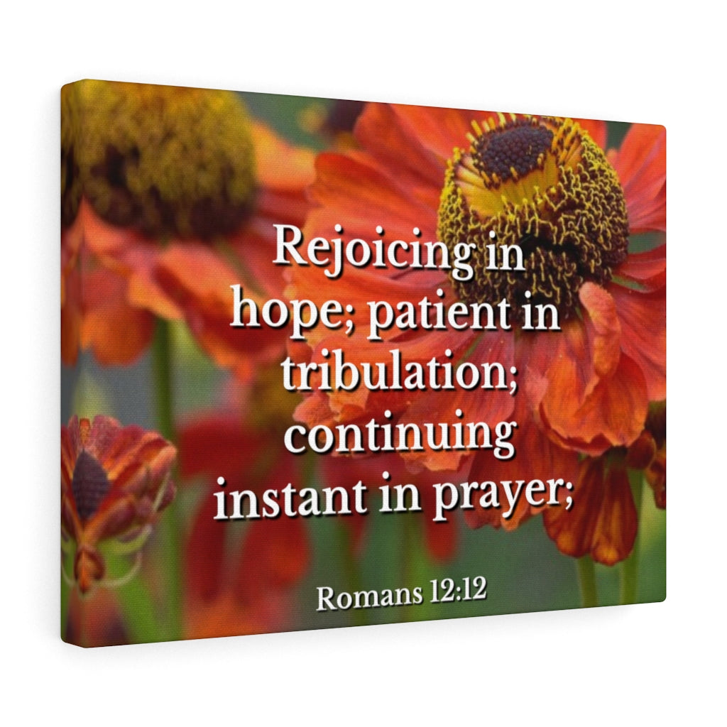 Scripture Walls Patient In Tribulation Romans 12:12 Bible Verse Canvas Christian Wall Art Ready to Hang Unframed-Express Your Love Gifts