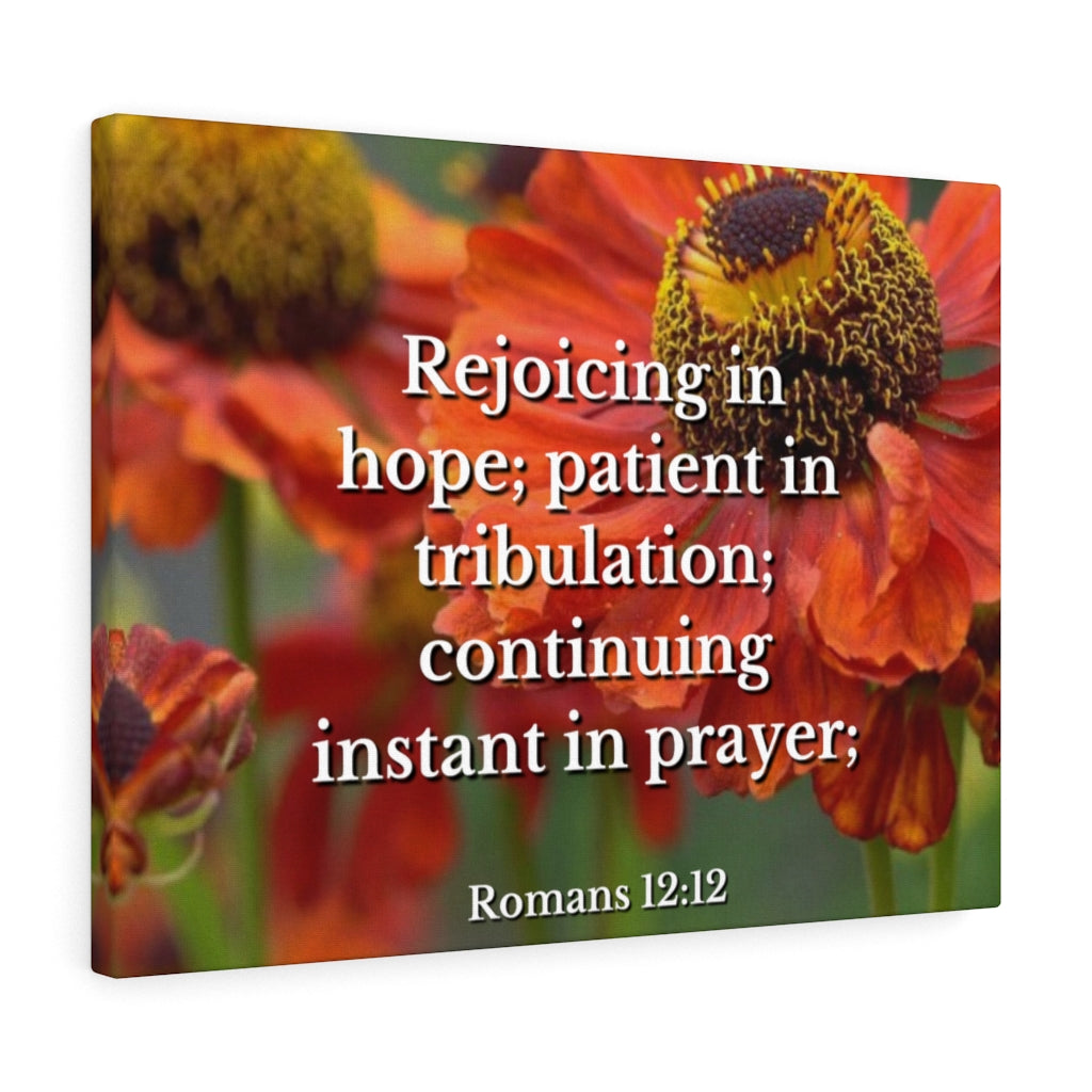 Scripture Walls Patient In Tribulation Romans 12:12 Bible Verse Canvas Christian Wall Art Ready to Hang Unframed-Express Your Love Gifts