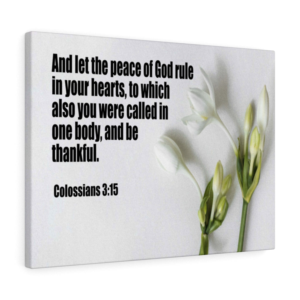 Scripture Walls Peace of God Colossians 3:15 Bible Verse Canvas Christian Wall Art Ready to Hang Unframed-Express Your Love Gifts