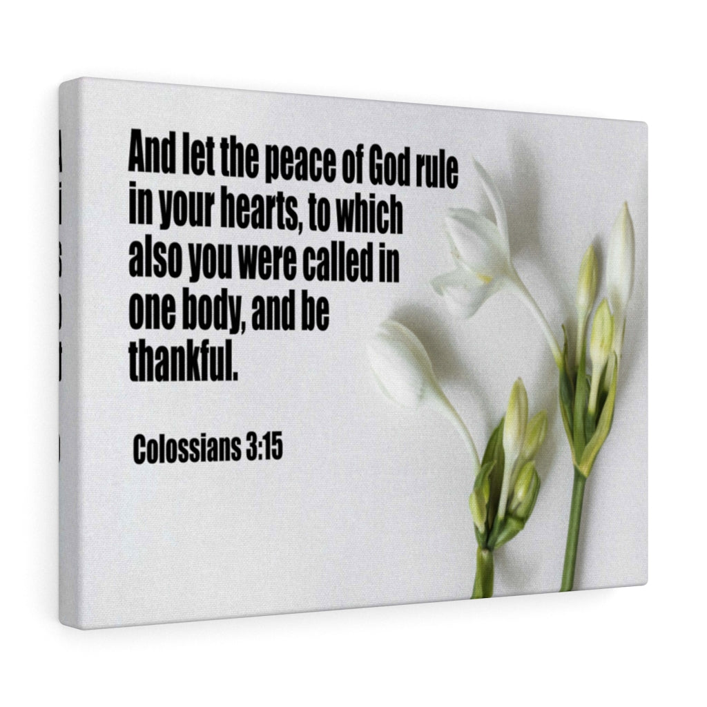 Scripture Walls Peace of God Colossians 3:15 Bible Verse Canvas Christian Wall Art Ready to Hang Unframed-Express Your Love Gifts