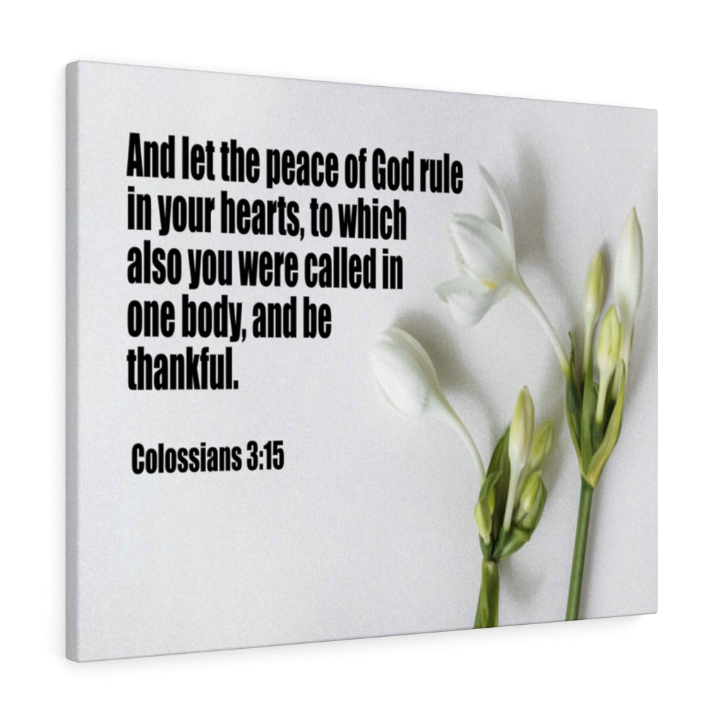 Scripture Walls Peace of God Colossians 3:15 Bible Verse Canvas Christian Wall Art Ready to Hang Unframed-Express Your Love Gifts