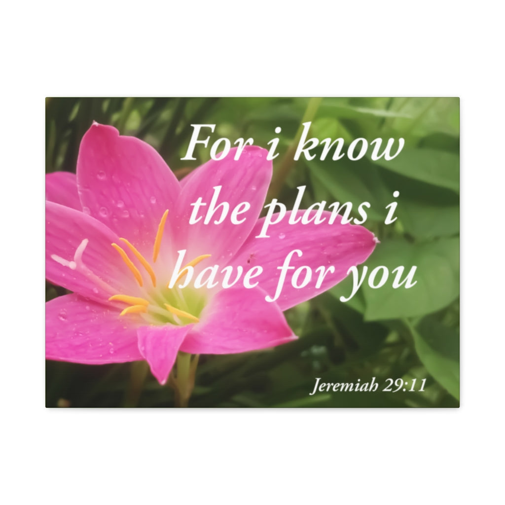 Scripture Walls Plans I Have Jeremiah 29:11 Bible Verse Canvas Christian Wall Art Ready to Hang Unframed-Express Your Love Gifts