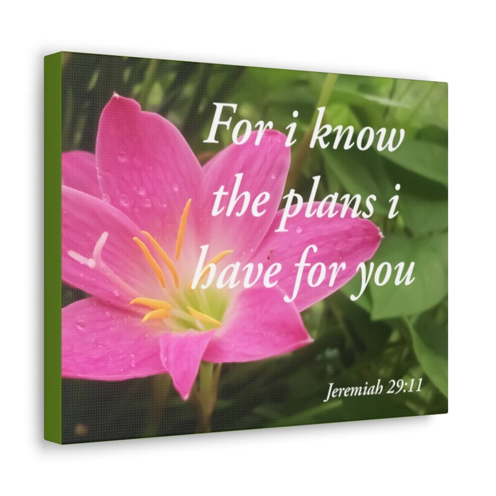 Scripture Walls Plans I Have Jeremiah 29:11 Bible Verse Canvas Christian Wall Art Ready to Hang Unframed-Express Your Love Gifts