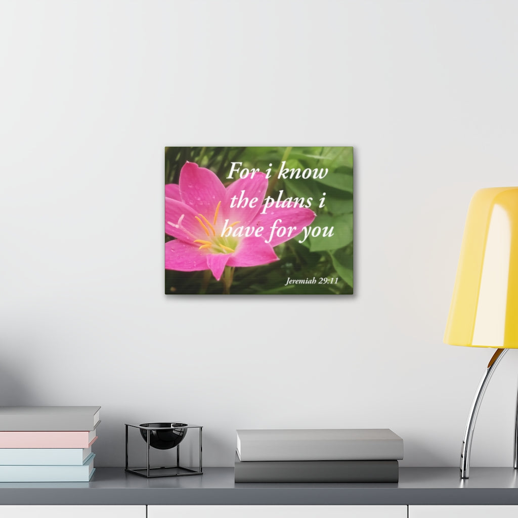 Scripture Walls Plans I Have Jeremiah 29:11 Bible Verse Canvas Christian Wall Art Ready to Hang Unframed-Express Your Love Gifts