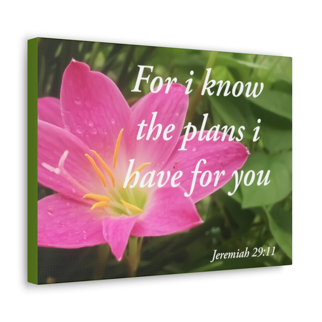 Scripture Walls Plans I Have Jeremiah 29:11 Bible Verse Canvas Christian Wall Art Ready to Hang Unframed-Express Your Love Gifts