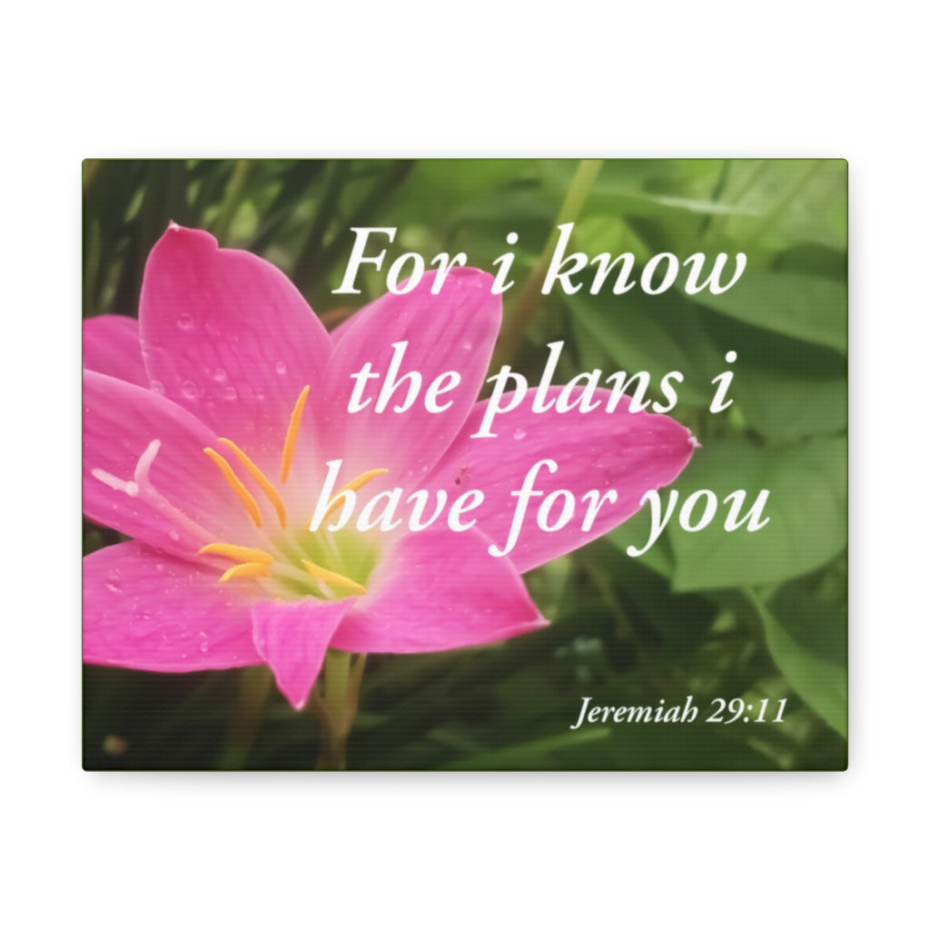 Scripture Walls Plans I Have Jeremiah 29:11 Bible Verse Canvas Christian Wall Art Ready to Hang Unframed-Express Your Love Gifts