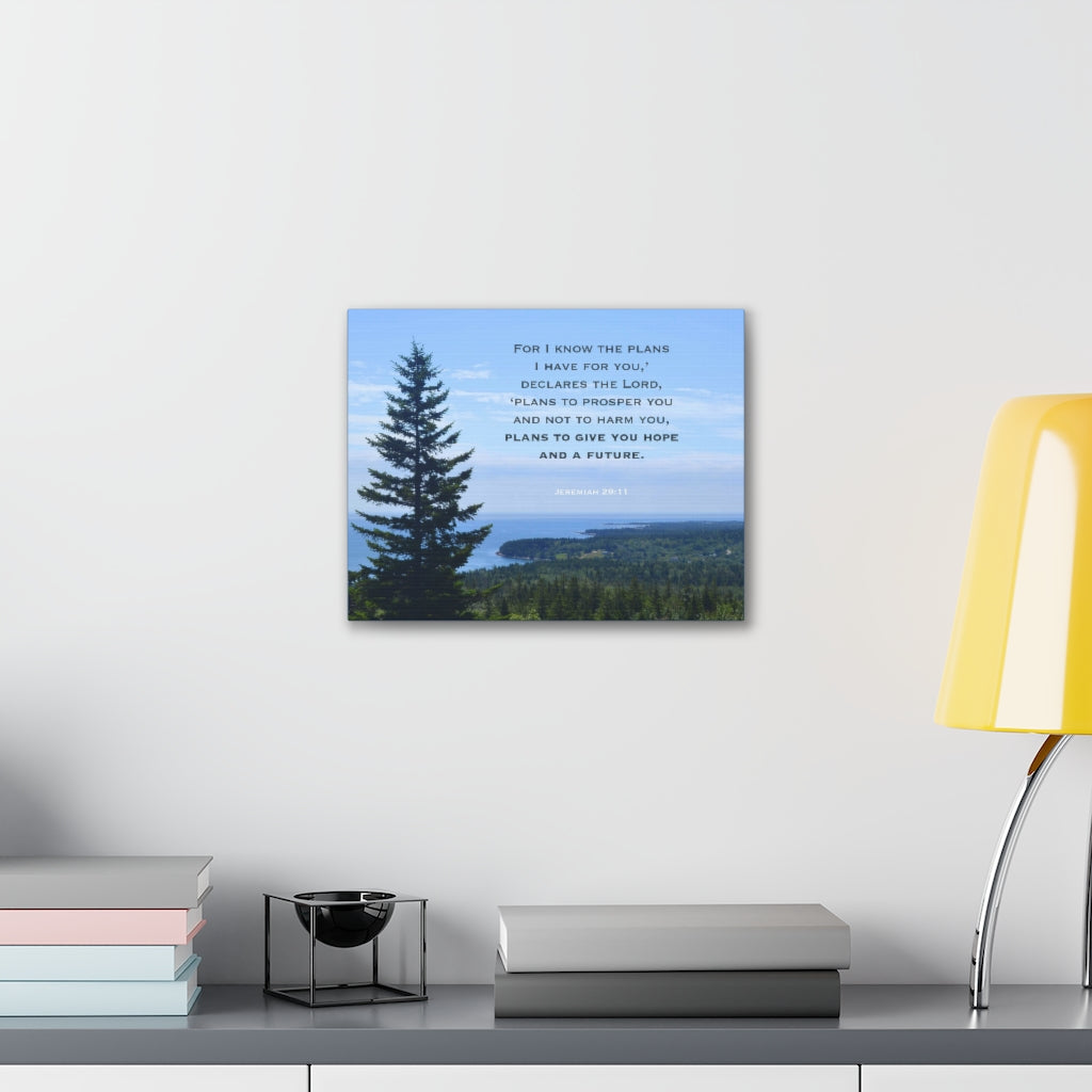 Scripture Walls Plans To Prosper You Jeremiah 29:11 Bible Verse Canvas Christian Wall Art Ready to Hang Unframed-Express Your Love Gifts