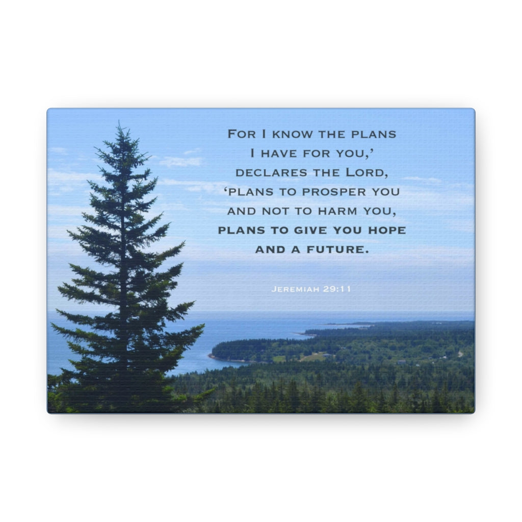 Scripture Walls Plans To Prosper You Jeremiah 29:11 Bible Verse Canvas Christian Wall Art Ready to Hang Unframed-Express Your Love Gifts