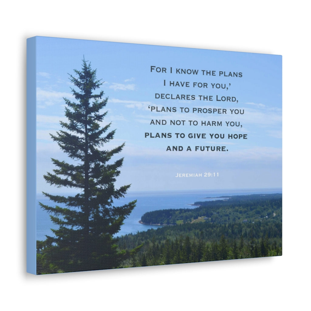 Scripture Walls Plans To Prosper You Jeremiah 29:11 Bible Verse Canvas Christian Wall Art Ready to Hang Unframed-Express Your Love Gifts