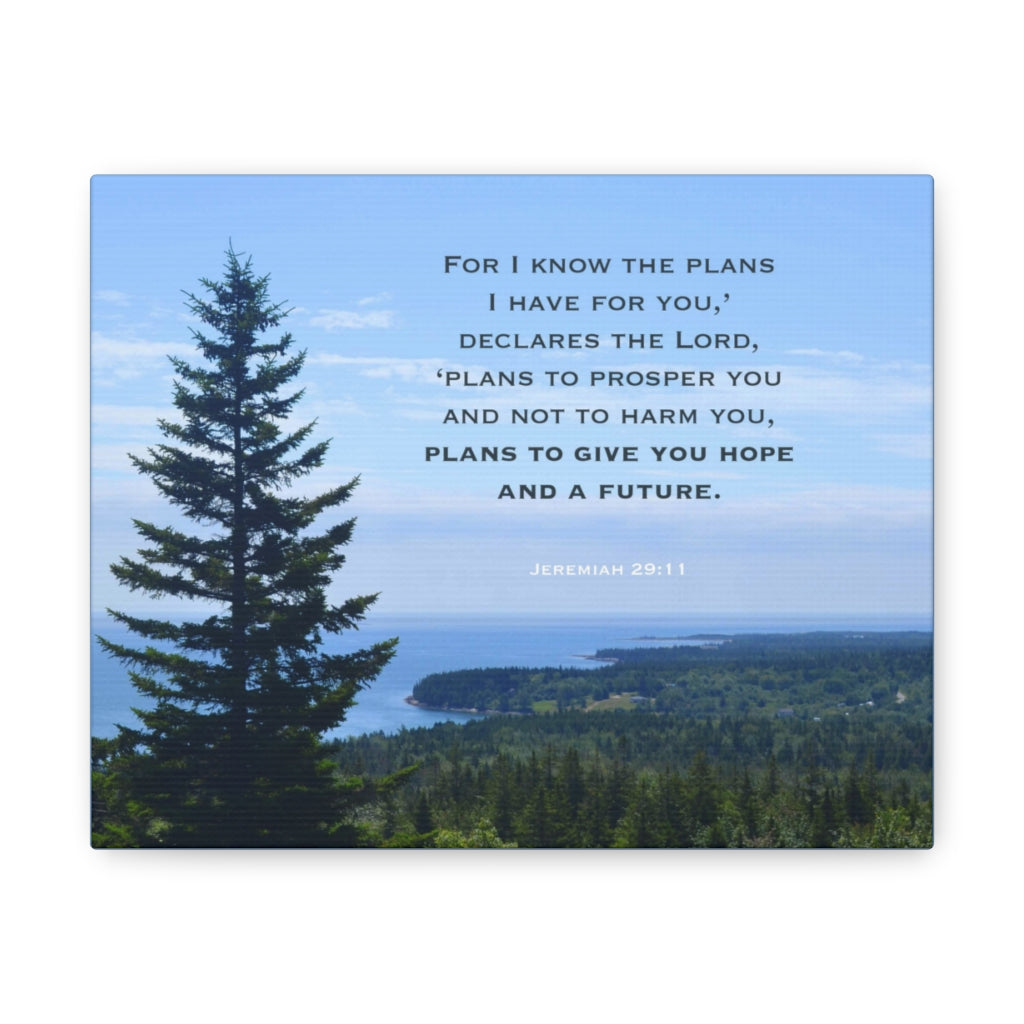 Scripture Walls Plans To Prosper You Jeremiah 29:11 Bible Verse Canvas Christian Wall Art Ready to Hang Unframed-Express Your Love Gifts