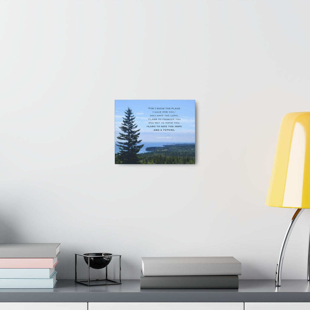 Scripture Walls Plans To Prosper You Jeremiah 29:11 Bible Verse Canvas Christian Wall Art Ready to Hang Unframed-Express Your Love Gifts