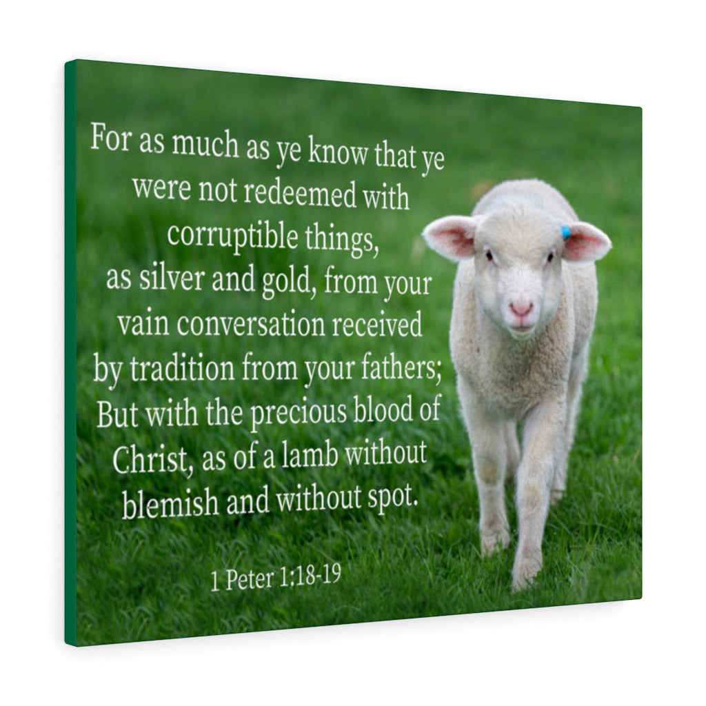 Scripture Walls Precious Blood of Christ 1 Peter 1:18-19 Bible Verse Canvas Christian Wall Art Ready to Hang Unframed-Express Your Love Gifts