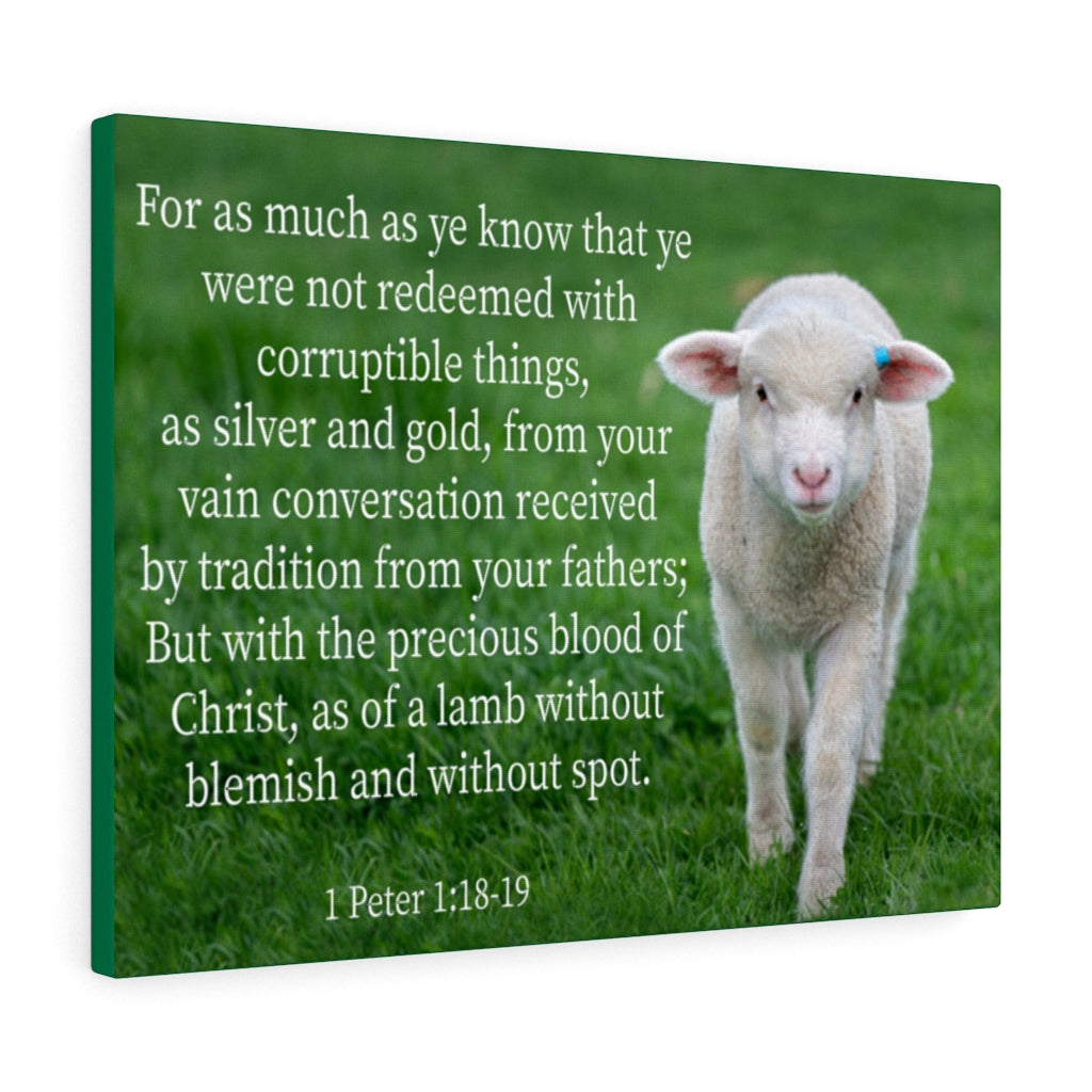 Scripture Walls Precious Blood of Christ 1 Peter 1:18-19 Bible Verse Canvas Christian Wall Art Ready to Hang Unframed-Express Your Love Gifts