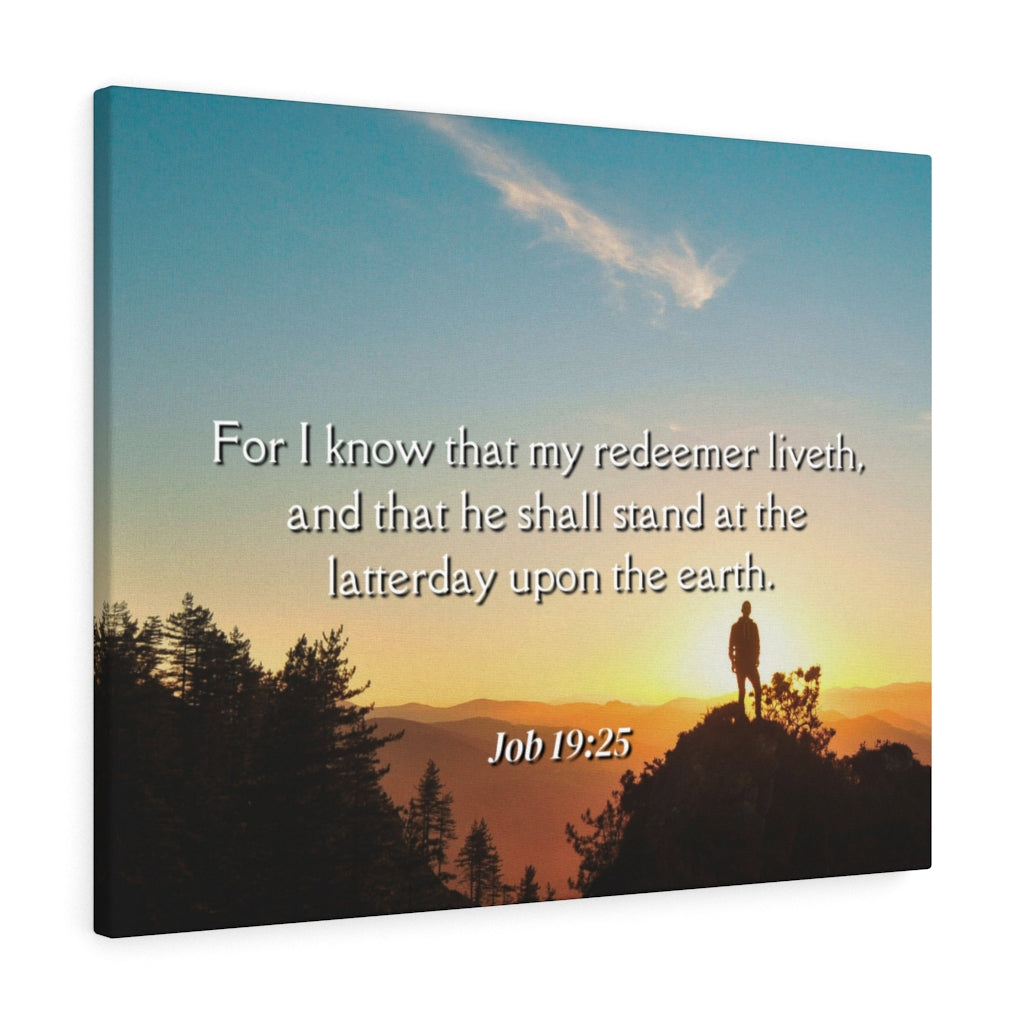 Scripture Walls Redeemer Liveth Job 19:25 Bible Verse Canvas Christian Wall Art Ready to Hang Unframed-Express Your Love Gifts