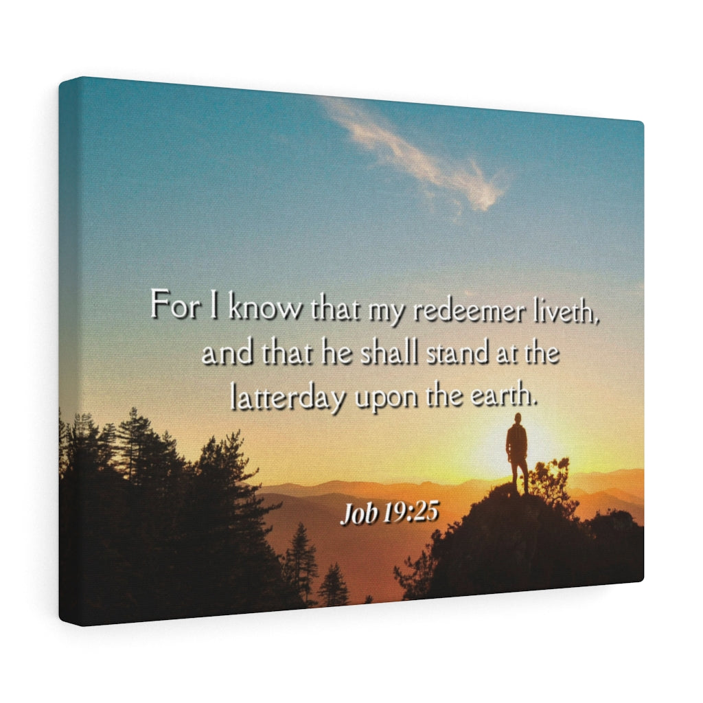 Scripture Walls Redeemer Liveth Job 19:25 Bible Verse Canvas Christian Wall Art Ready to Hang Unframed-Express Your Love Gifts